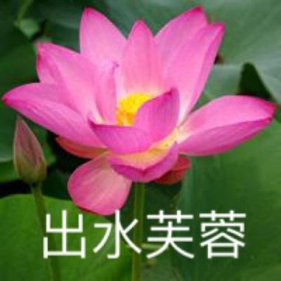 北京台湖爵士音乐节奏响中外文化交流新旋律